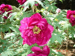 �t���[��